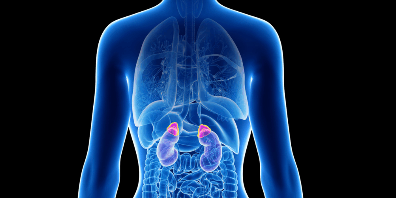 Надбъбречна недостатъчност Надбъбречна недостатъчност