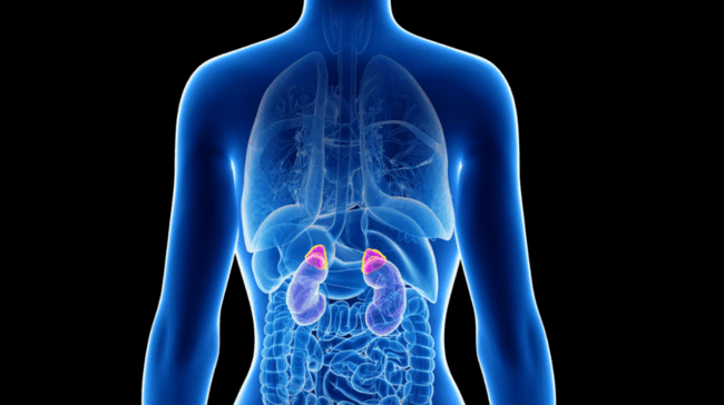 Надбъбречна недостатъчност Надбъбречна недостатъчност