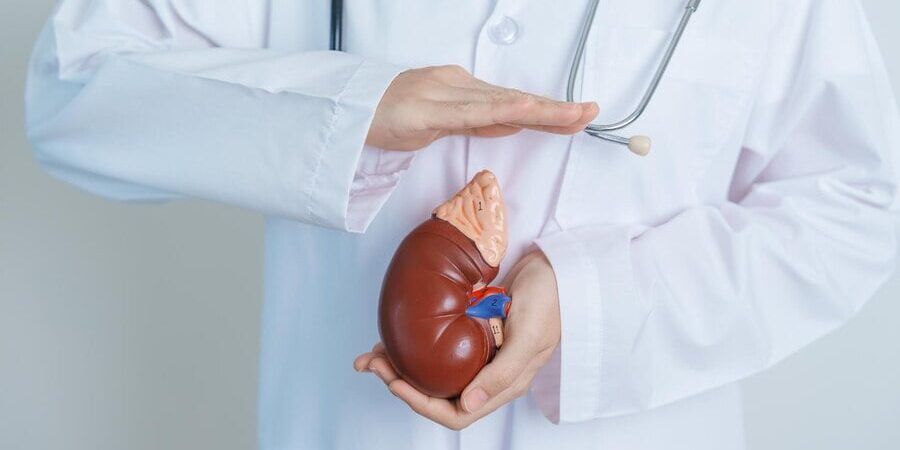 Adrenal Gland Diseases Adrenal Gland Diseases