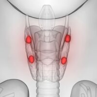 Paratiroid Bezi Hastalıkları
